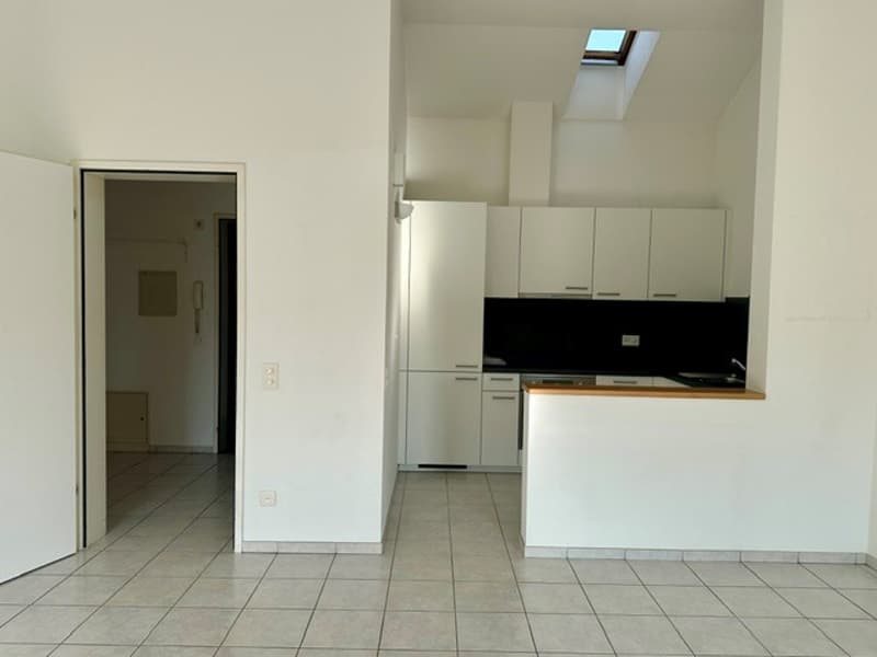 Bright 2.5-room apartment in the center of Lugano (2)
