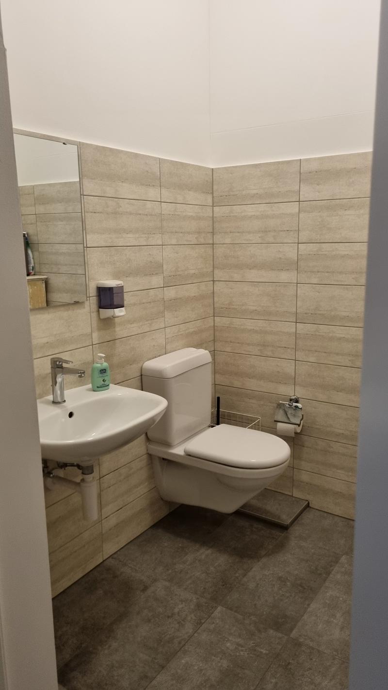 small bathroom with toilet, sink, mirror, soap dispenser, toilet paper holder
