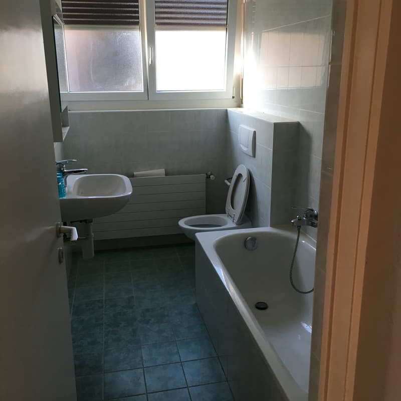 Appartamento di 2.5 locali con balcone a Lugano (4)