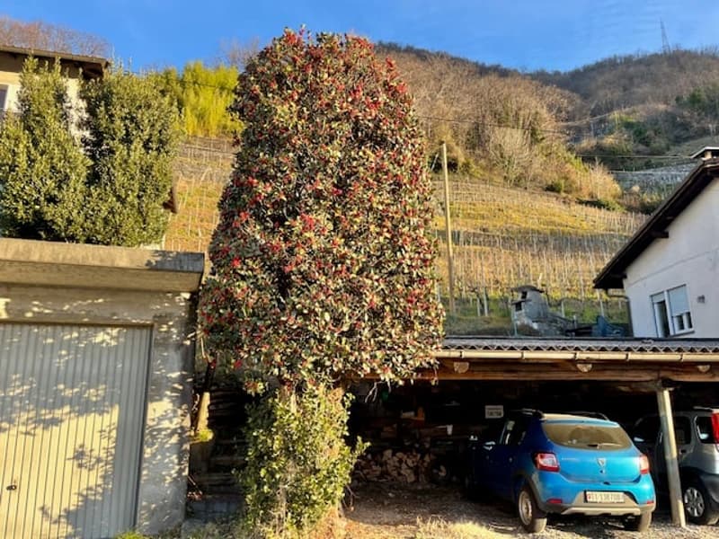For sale in Lavertezzo - Building plot with view of the Magadino plain and Lake Maggiore (5)