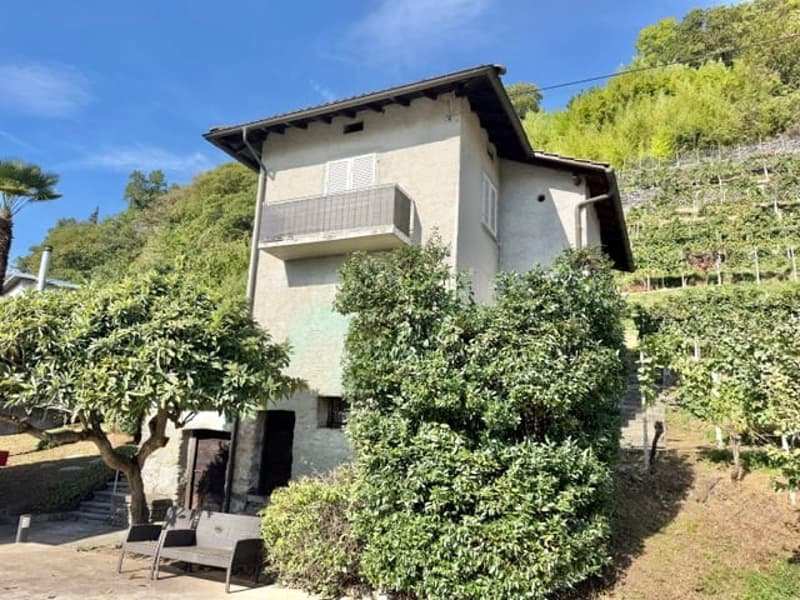 VENDESI A LAVERTEZZO - Terreno edificabile con vista sul piano di Magadino e il Lago Maggiore (2)