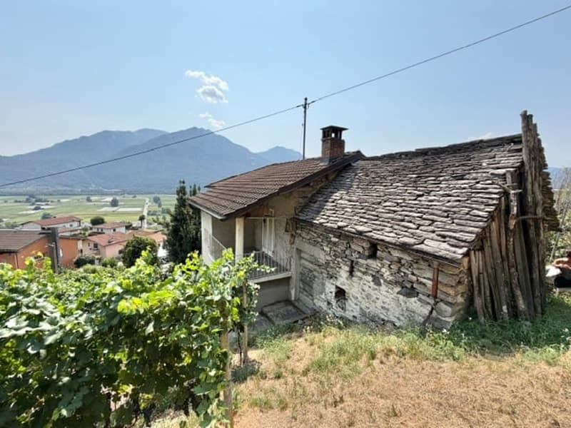 VENDESI A LAVERTEZZO - Terreno edificabile con vista sul piano di Magadino e il Lago Maggiore (7)