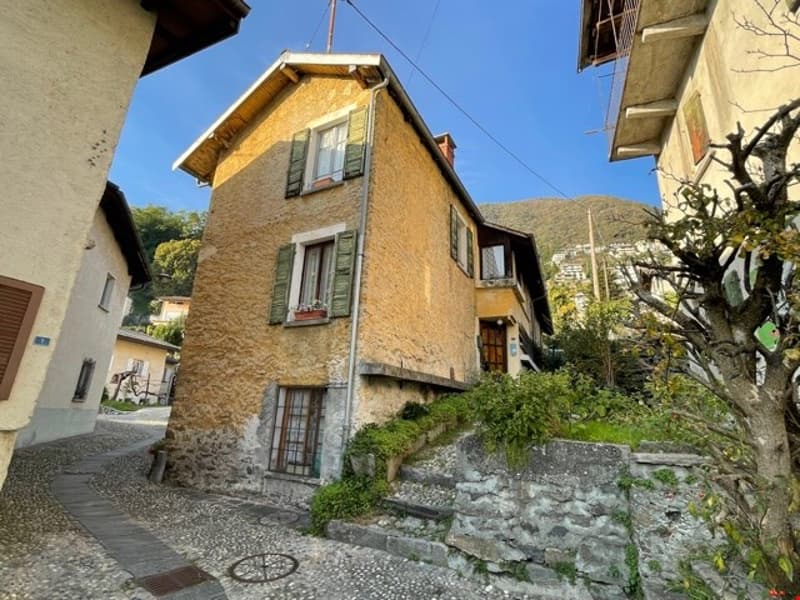Stone house, multiple windows, located on a small street, nearby houses, green plants, mountain in the background