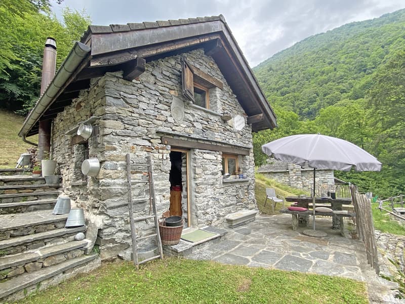Bella proprietà con 2 rustici immersa nel verde / Schöne Liegenschaft mit 2 Rustico's im Grünen (2)