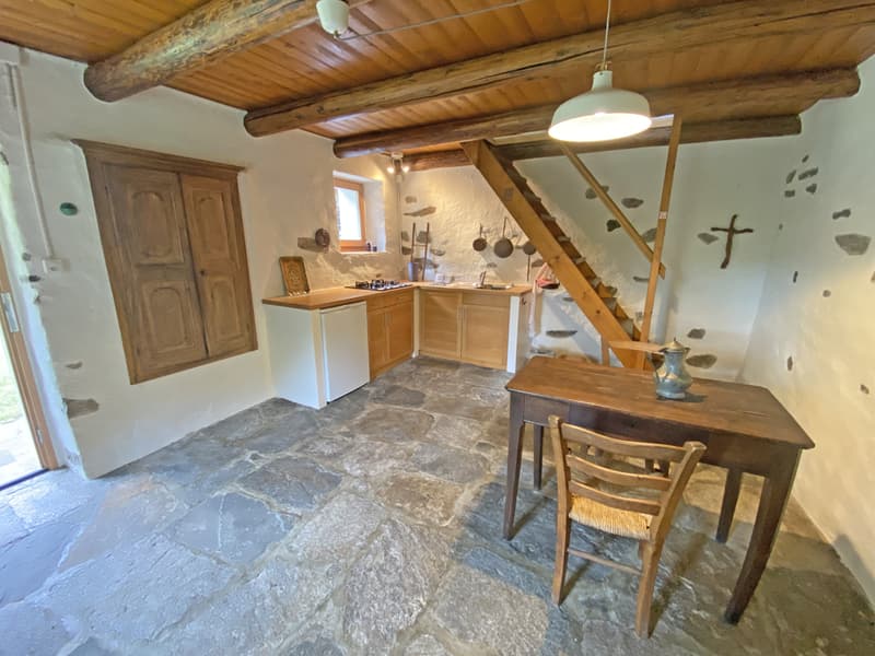 Bella proprietà con 2 rustici immersa nel verde / Schöne Liegenschaft mit 2 Rustico's im Grünen (6)