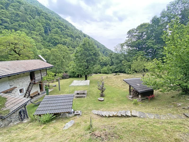 Bella proprietà con 2 rustici immersa nel verde / Schöne Liegenschaft mit 2 Rustico's im Grünen (4)