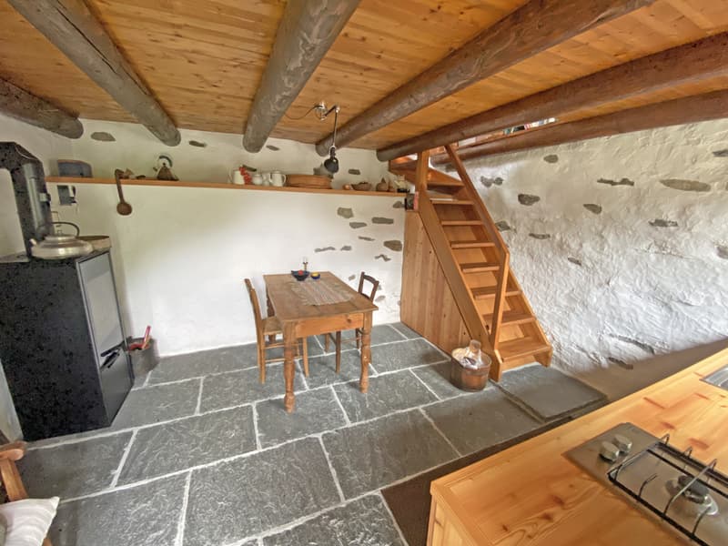 Bella proprietà con 2 rustici immersa nel verde / Schöne Liegenschaft mit 2 Rustico's im Grünen (8)