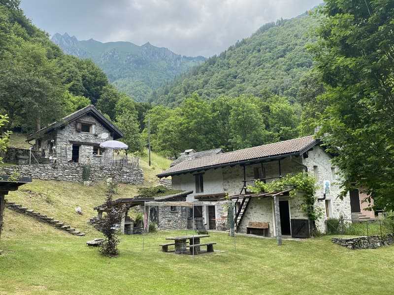 Bella proprietà con 2 rustici immersa nel verde / Schöne Liegenschaft mit 2 Rustico's im Grünen (1)