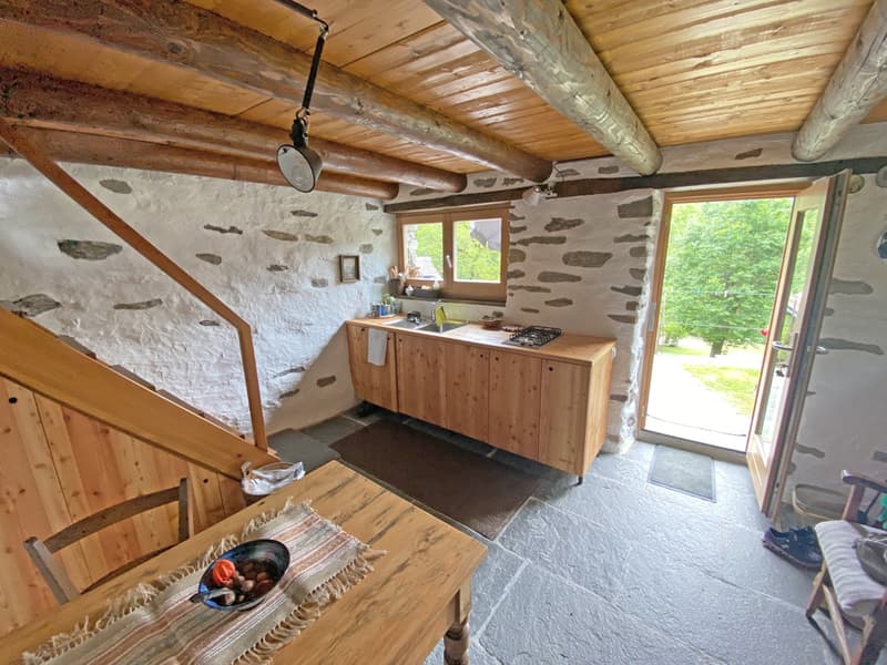Bella proprietà con 2 rustici immersa nel verde / Schöne Liegenschaft mit 2 Rustico's im Grünen (9)