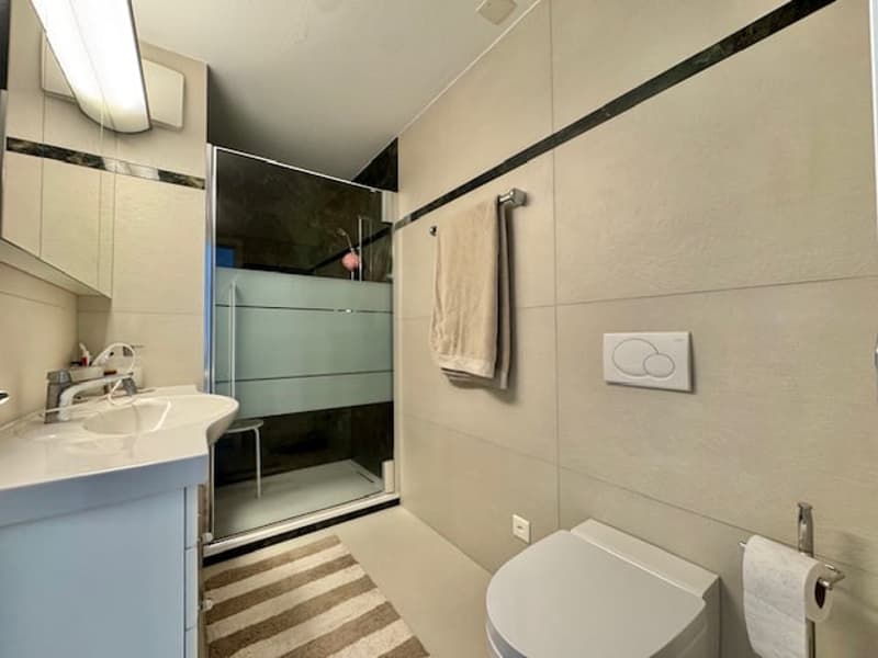 Modern bathroom with white and gray tiles, a vanity with a sink, a toilet, and a glass shower enclosure.