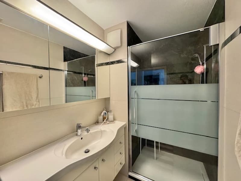 Large bathroom with a vanity sink, mirror cabinets, and a glass-enclosed shower area.