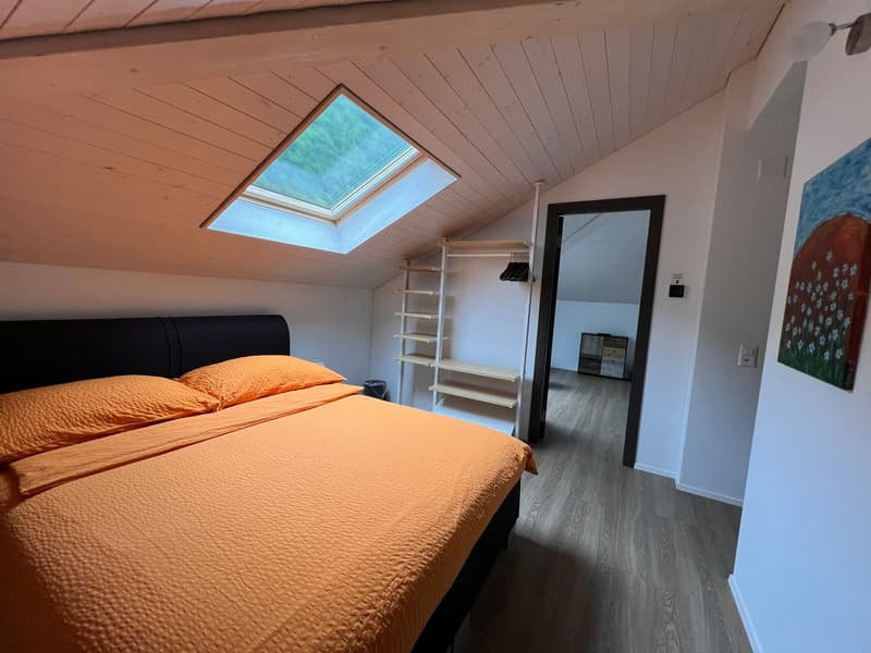 Bedroom with a skylight, wooden ceiling, black bed frame with orange bedding, shelving unit, and hardwood flooring