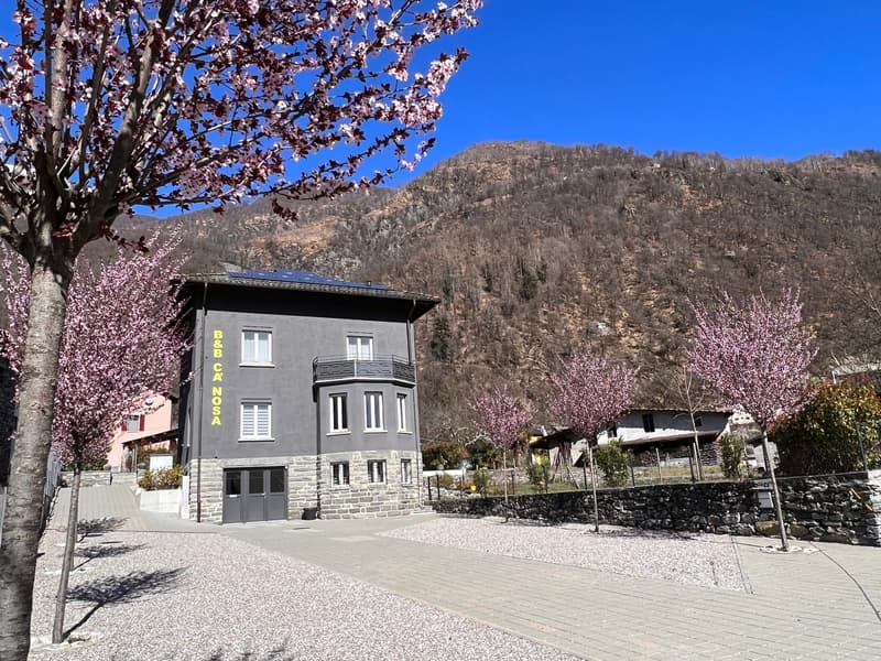 A 2-story gray building with a balcony, surrounded by blooming cherry blossom trees and mountains in the background.