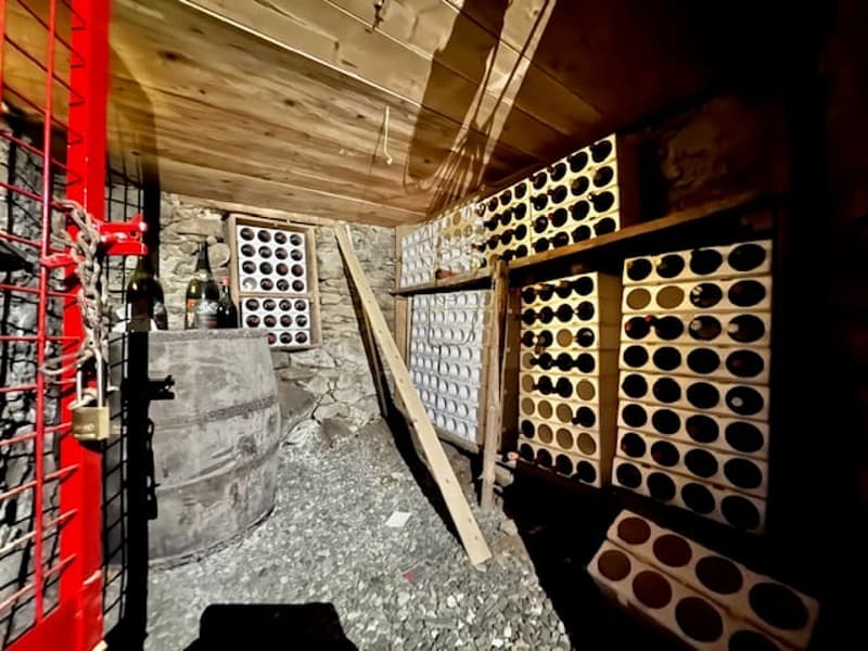 The image shows a cluttered basement or storage area with various shelves and containers. The walls are made of concrete blocks and there are some metal racks and tools visible. The overall environment appears to be a garage or workshop space.