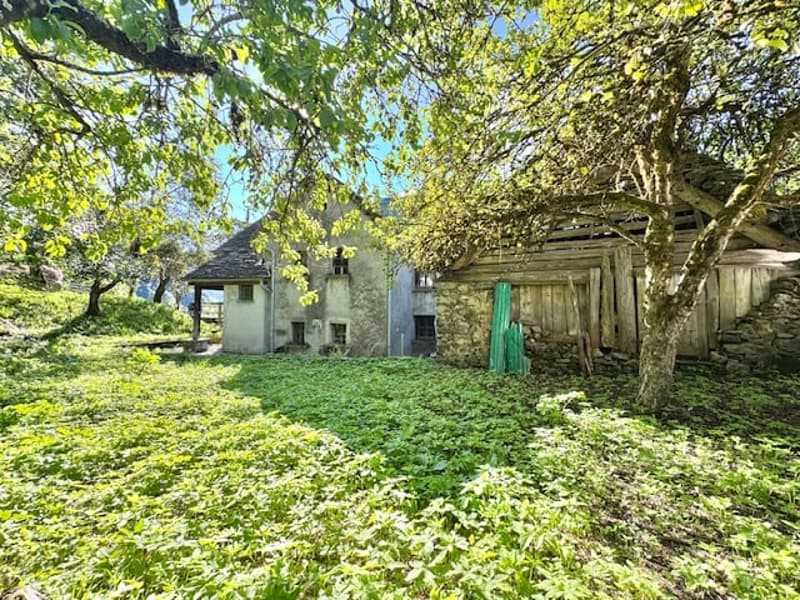 Old, dilapidated wooden house surrounded by lush greenery and overgrown vegetation. The house appears to be abandoned, with a partially collapsed roof and weathered exterior. There is a balcony or terrace visible on the side of the house.