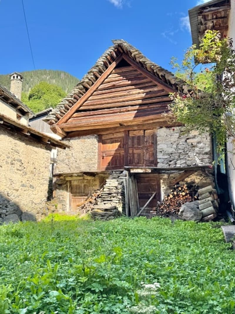 Traditional wooden house with a stone foundation, raised off the ground, with a slanted roof and wooden beams. The house is surrounded by lush greenery and vegetation.