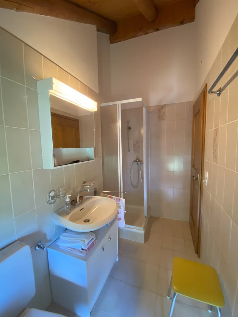 Bathroom with white tiles, vanity sink, mirror, shower stall, and a washing machine