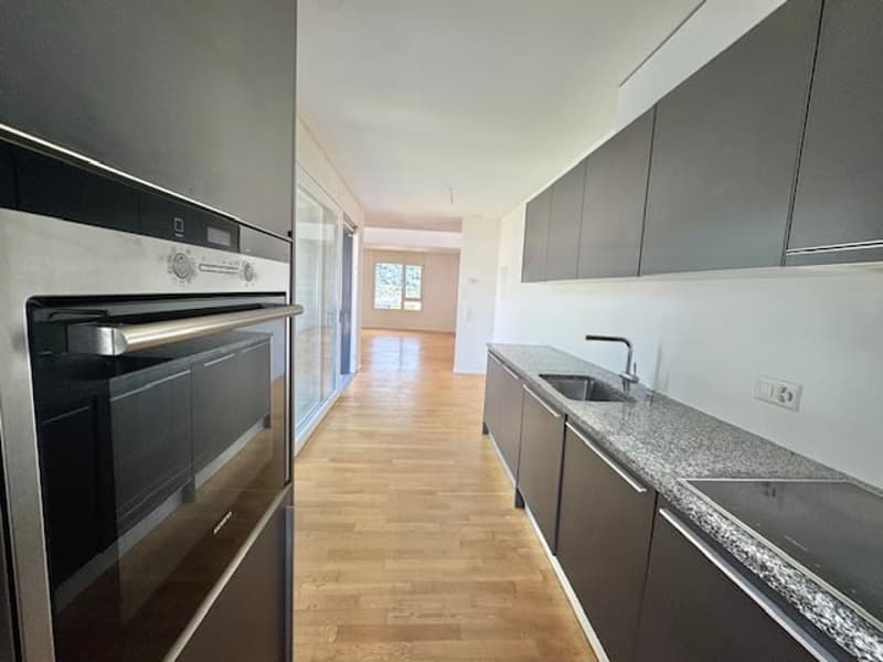 Modern kitchen with gray cabinets, granite countertops, stainless steel appliances including a dishwasher, and hardwood flooring. The kitchen leads into an open living space.