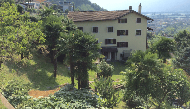 3 story house, yellow paint, many windows, surrounded by trees and plants, on a hillside with a city view in the distance