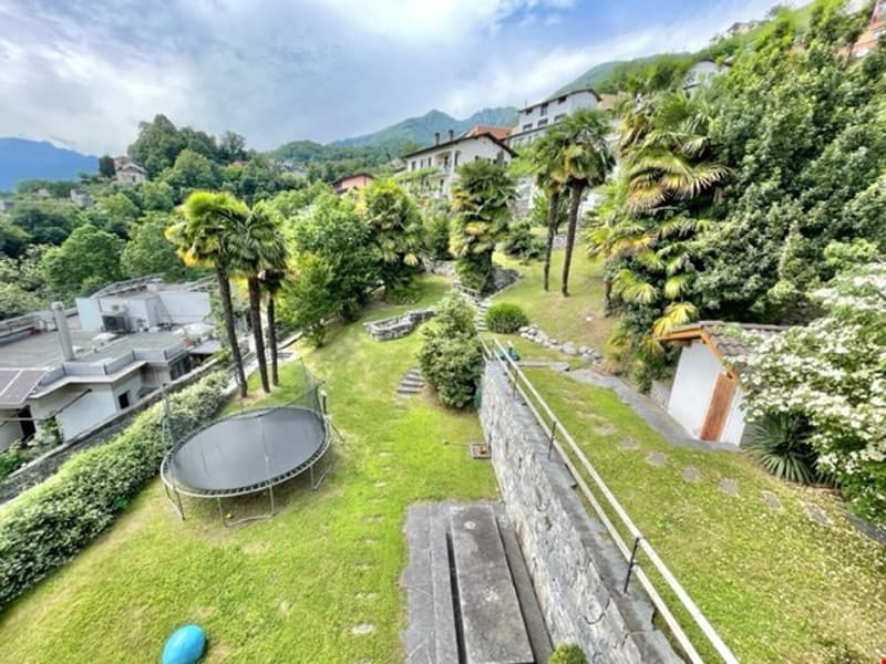 Backyard with trampoline, grassy area, small house, garden wall, solar panels