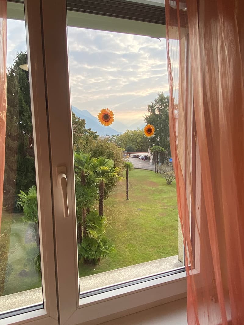 view from a window with a sunny landscape outside, palm trees, green grass, and mountains