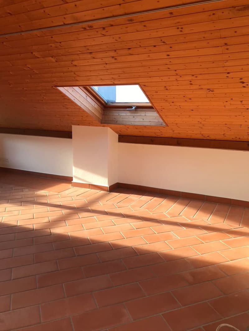 VAIRANO (GAMBAROGNO) - VENDESI ANTICA CASA TICINESE CON SPLENDIDA VISTA SUL LAGO MAGGIORE (12)
