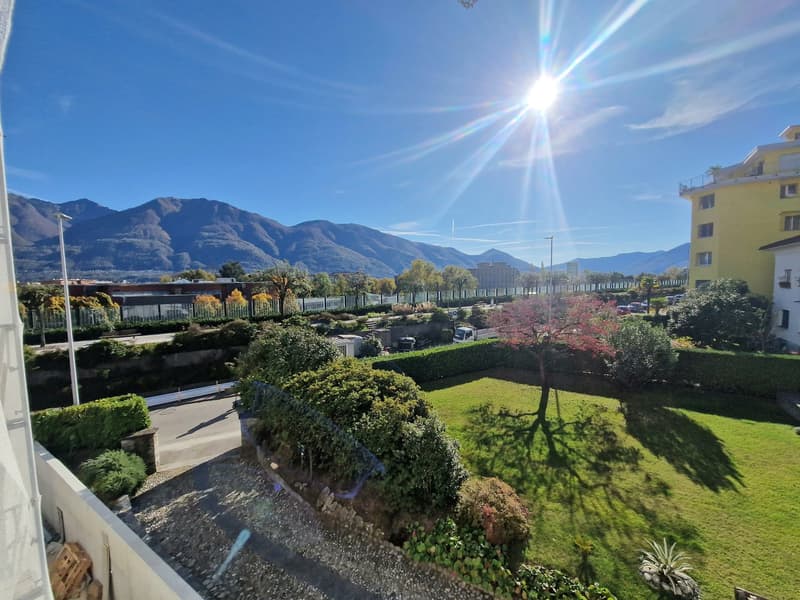 well-maintained garden, diverse plants, gravel path, sunlit environment, distant building, scenic mountains