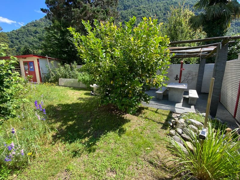 Casa completamente ristrutturata a due passi dal fiume Maggia / Renoviertes Haus auch ZWEITWOHNSITZ (5)