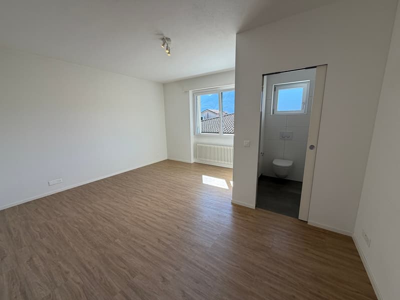 Casa completamente ristrutturata a due passi dal fiume Maggia / Renoviertes Haus auch ZWEITWOHNSITZ (22)