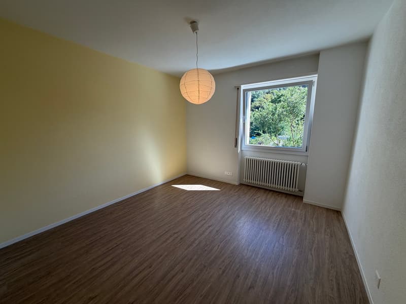 Casa completamente ristrutturata a due passi dal fiume Maggia / Renoviertes Haus auch ZWEITWOHNSITZ (23)