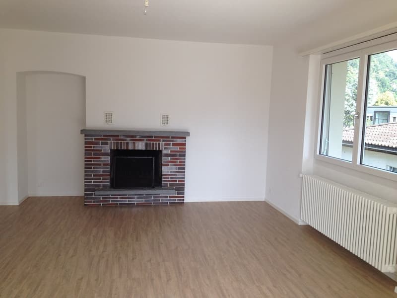 empty room, brick fireplace, wooden floor, white walls, large window