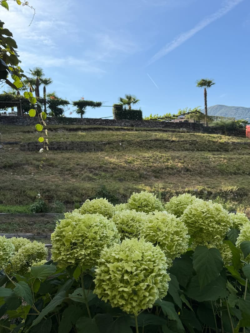 VENDESI A CUGNASCO - Bella casa unifamiliare di 5.5 loc. in buonissimo stato - Schönes 5.5 Zi.-Haus (7)