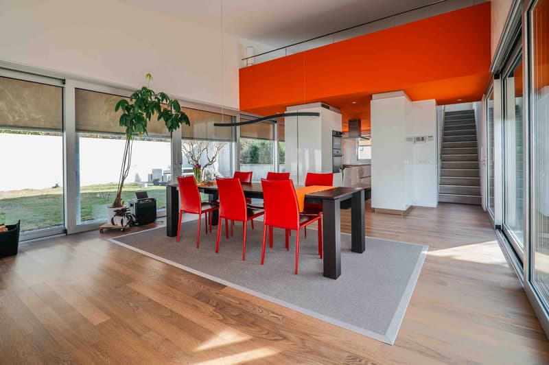 dining table with chairs, large windows with balconies, modern interior, hardwood floors, large plant, modern pendant lighting