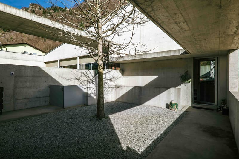 raised ground floor, concrete walls, pebbles and gravel flooring, large tree