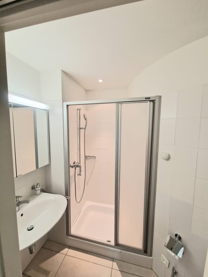 modern shower with glass doors, mirror, silver sink, faucet, toilet paper holder, tiled floor