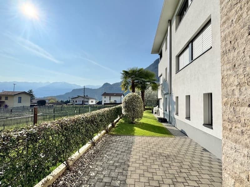 Modern white building, brick wall, brick pathway, hedge, palm trees, mountain view