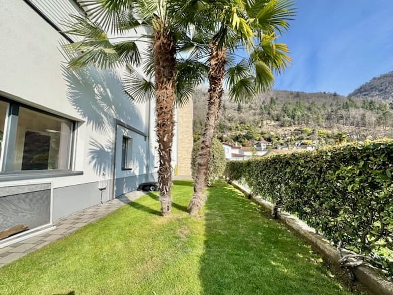 A well-maintained garden with lush green grass, two palm trees, a hedge, and a building with glass windows in the background. The garden is surrounded by a mountain range.
