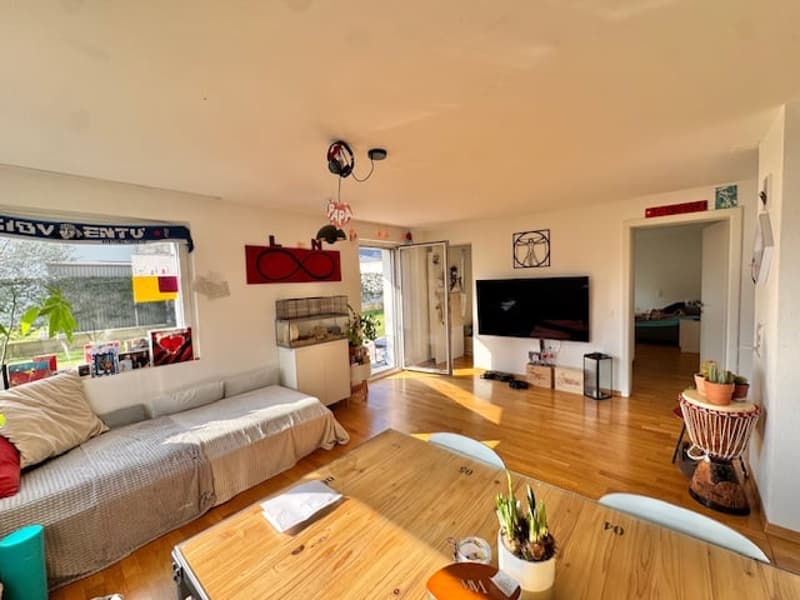 Living room with wooden floor, white walls, couch, dining table, TV, potted plants, and artwork on the wall.