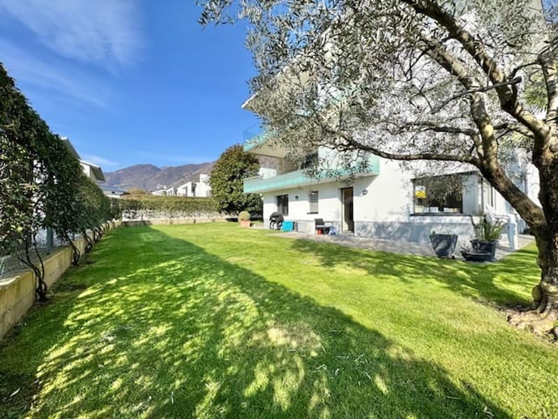 large green lawn, white house, balcony, trees, bushes, potted plants, mountains in the background