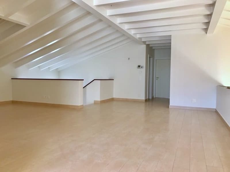 ASCONA - APPARTMENT DUPLEX 7 PIÈCES À LOUER (7)