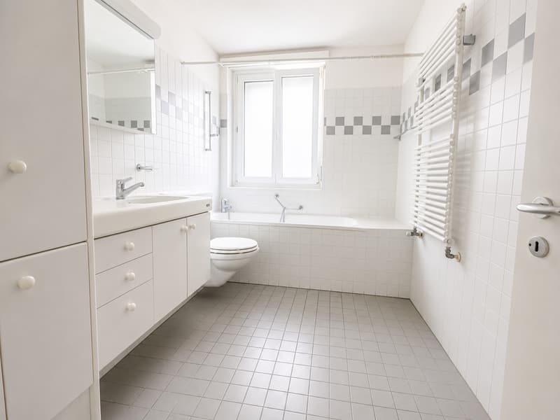 Interessantes 3.5-Zimmer-Gebäude mit Sanierung (6)