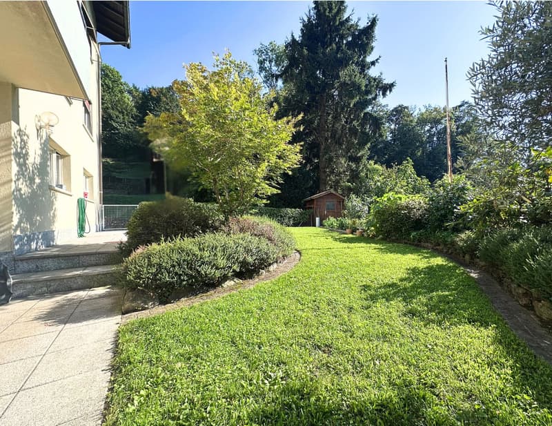 Stabile Plurifamiliare a Reddito Lugano-Viganello (3)