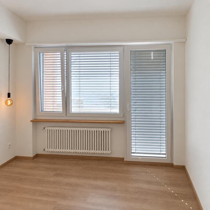 Ristrutturato 2.5 locali a Lugano-Cassarate (6)