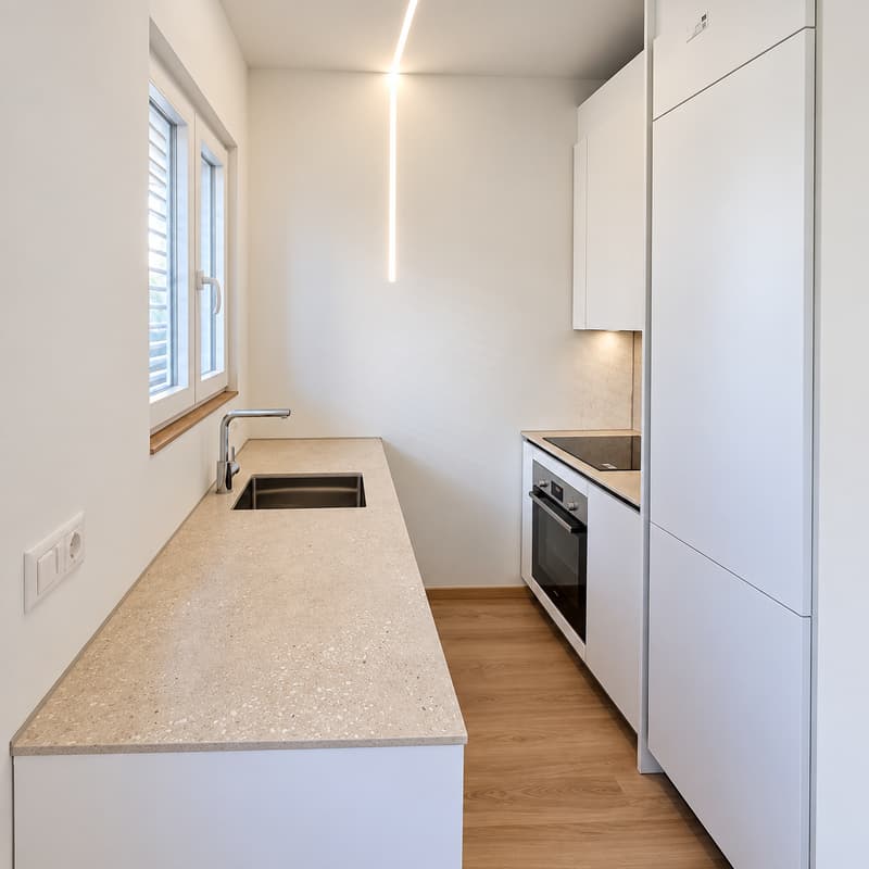 Ristrutturato 2.5 locali a Lugano-Cassarate (7)