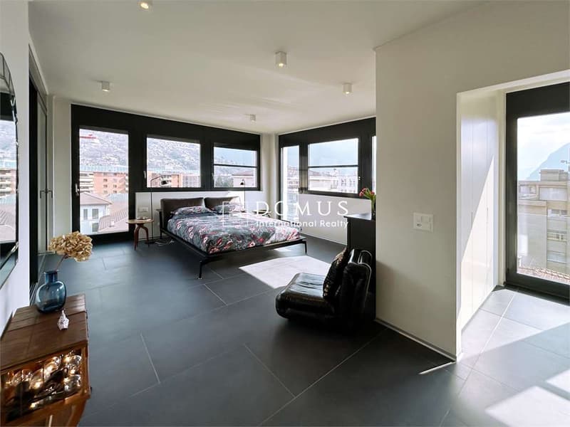 Meraviglioso Penthouse in città (7)