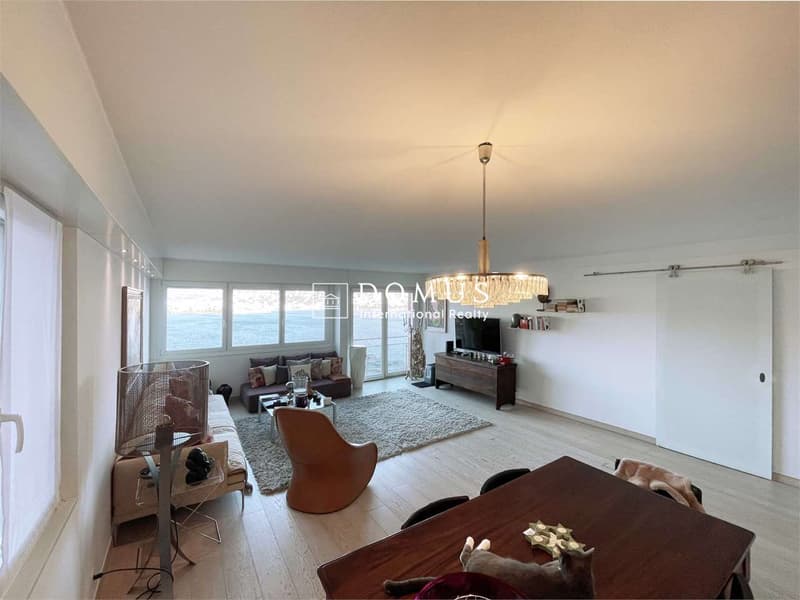 3,5 locaux avec piscine et vue imprenable sur le lac (3)
