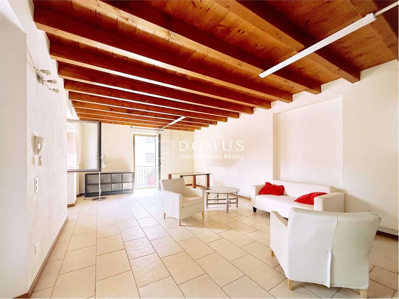 Appartement imposant également à usage de bureau (3)