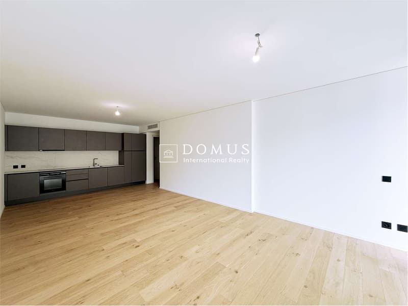 2,5 locaux à vendre à Paradiso (3)