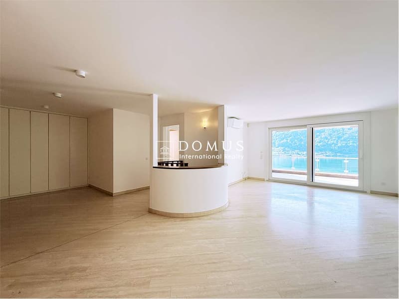 Magnificent apartment in Morcote (5)