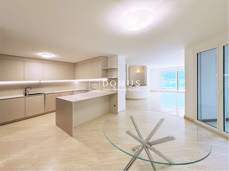 Magnificent apartment in Morcote (7)